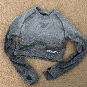 gymshark ombre seamless long sleeve crop top